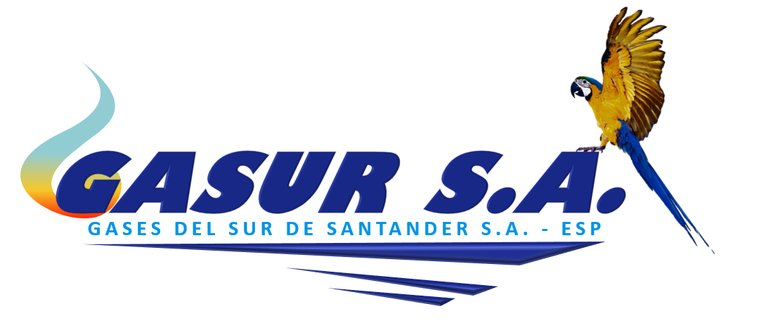 GASES DEL SUR DE SANTANDER SA ESP